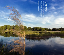 新義水鄉(xiāng)中醫(yī)藥浴康養(yǎng)、黃龍溪古鎮(zhèn)二日游