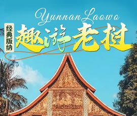 【趣游老撾 · 經(jīng)典版納】—昆明、普洱、西雙版納、磨丁、瑯勃拉邦四動8日游